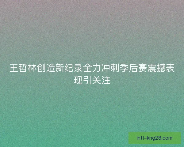 王哲林创造新纪录全力冲刺季后赛震撼表现引关注